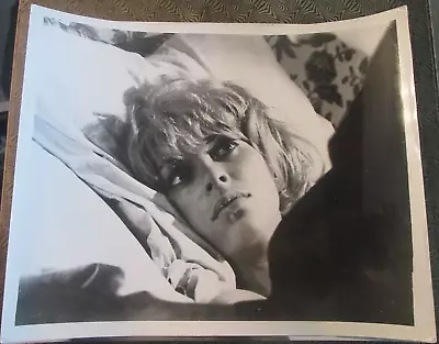 MIREILLE DARC  10x8 Black And White Photo No.1 • $2.47