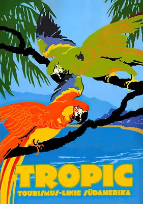 Tropic Caribbean Parrots Vintage Travel Poster • $18