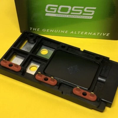 DFI Module For Holden Delphi DS1004 Goss IM021 • $222.66