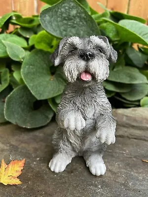 Miniature Schnauzer Dog Figurine Begging Resin Statue Lawn Yard Garden Puppy 8  • $45.99