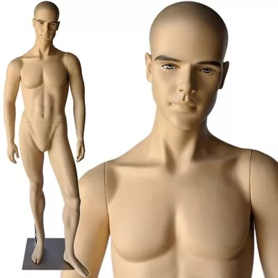 MN-M3 Hyper Realistic Face Features Euro Male Standing Mannequin • $199.99