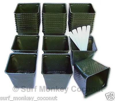 NEW Plastic Nursery PLANT POTS 36 Qty Lot +5 FREE SEED LABELS! Green Containers • $6.99