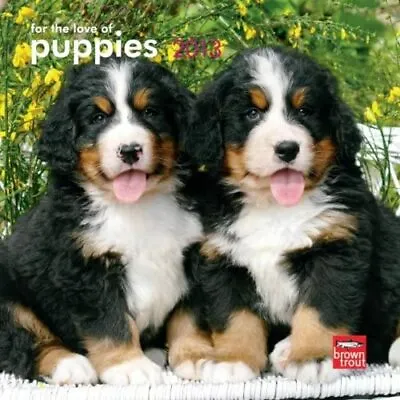 (7x7) Puppies For The Love Of - 2013 Mini Calendar • $11.99