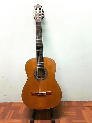 Classic Guitar 6 Strings (SCA-958) • $368