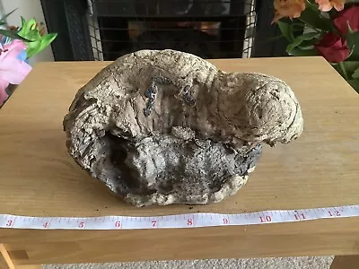 £3.99 • Buy Driftwood , Aquarium, Vivarium, Art, Craft,shop Window/Floral Display,