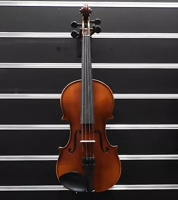 RAGGETTI RV2 1/16  Violin Outfit In Shaped Violin Case • $242.60