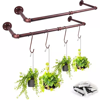 Wall Window Plant Hanger Set Of 2 Metal Plant Hanging Rod With 4 Hooks Hang... • $64.62