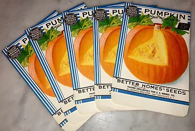 Lot: 5 Vintage Better Homes PUMPKIN Seed Packets Crosman Seed Co. E. Rochester • £9.50