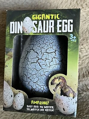 £7.95 • Buy Hatching Dinosaur Egg - Just Add Water - Watch Me Hatch! Brand New