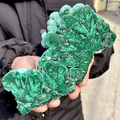 493G Natural Green Malachite Slab Quartz Crystal Slice Ore Specimen Healing • $20.50