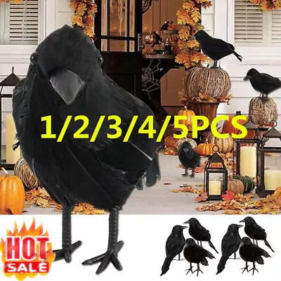 Halloween Stuffed Feather Crow Bird Black Raven Fancy Prop Dress Home Ne • £6.65