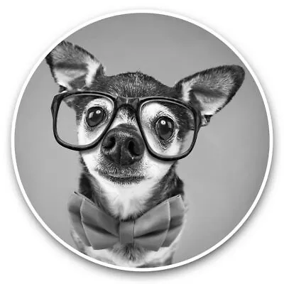 £3.99 • Buy 2 X Vinyl Stickers 15cm (bw) - Hipster Chihuahua Puppy Bowtie  #37333