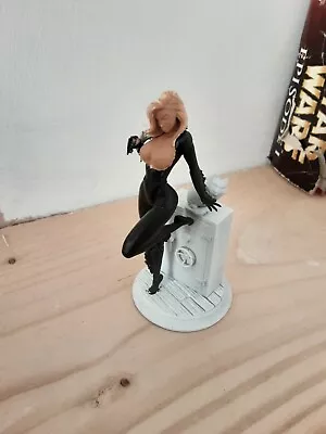 £9.95 • Buy Resin Model Kit Cat Woman 1/18 110mm