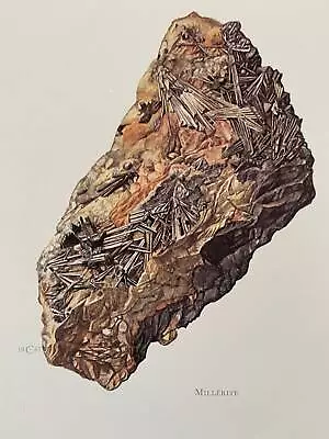 MILLERITE Mineral Print. Antique And Vintage Geology Mineral Gemstone Print. • $24