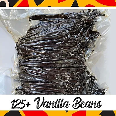 Organic Bourbon Fresh Vanilla Beans Grade A [6-8 Inches] 1 Pound - Free Shipping • $90.99