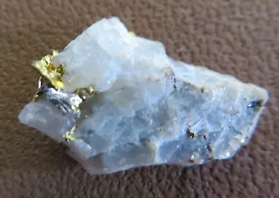Colorado Gold Nugget In Quartz 1.05 Grams 1/2  Long With FREE Shipping • $110