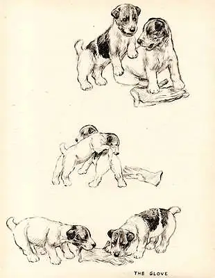 Funny Original Vintage Dog Print 1942 K.F. Barker 'The Glove' • £7.75