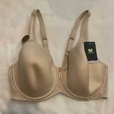 Wacoal Basic Beauty Full-Figure Spacer Underwire T-Shirt Bra🔥36D • $34.50