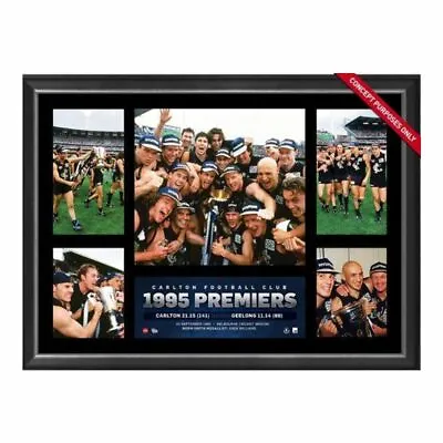 Carlton Blues 1995 Premiers Framed Poster Williams Silvagni Afl Memorabilia • $199.99