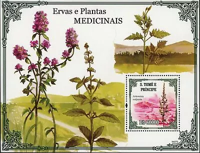 Medicinal Plants And Herbs Stamp Nature Artemisia Souvenir Sheet MNH • $15.72