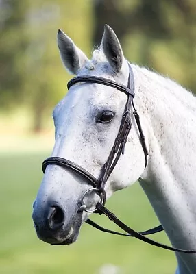 Shires Avignon Raised Cavesson Bridle Pressure Reducing All In One Headpiece ... • £64.79