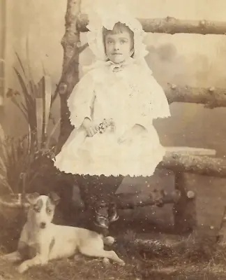 Cabinet Card Photo Child Unusual Fashion Jack Russell Terrier Dog Arnold Taunton • £32.99