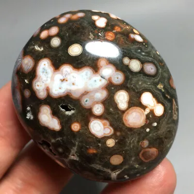 87g NATURAL Ocean Jasper Palm QUARTZ  CRYSTAL Palm Stones HEALING  • $2.26