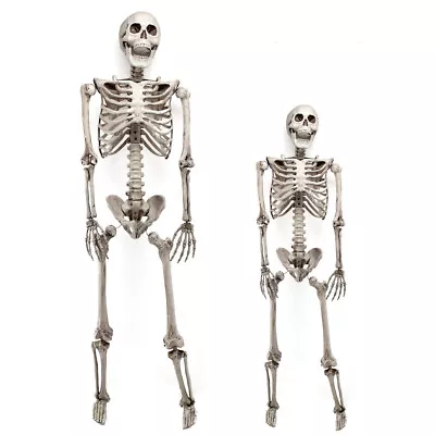 3ft/5.6ft Halloween Human Skull Skeleton Full Size Haunted House Tricky Props • $20.89