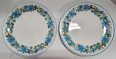 Pair Of Vintage Mikasa Cera-Stone GIGI Pattern Dinner Plates D1575 10.5 Japan • $21.99