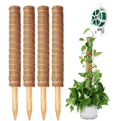 Moss Pole Plant Support Sticks For Climbing Plants In Gardens - 4 Pack • £11.69