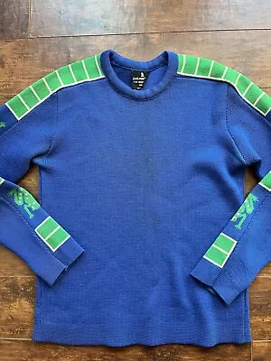 VTG Demetre Ski Outdoor Pure Virgin Wool  Sweater M Blue Mens- Frog Pattern • $39.99