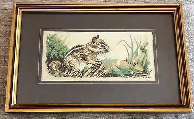 Vintage British Woven Silk Embroidered Cash’s Chipmunk Picture 23.5 Cm X 15.5 Cm • £10.99