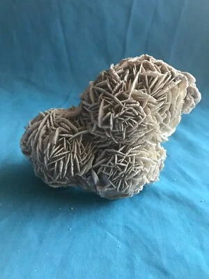 $15 • Buy Genuine Natural 1 Pound 3 Ounce Desert Rose Selenite Crystal Rock Specimen 