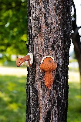 Garden Squirrel Tree Hugger Peeker Branch Novelty Garden Decor Statue Fence Cute • £7.99