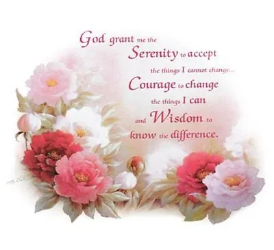 Serenity Prayer Shirt Ladies T Shirt Glitter Flowers Small - 5X • $14.99