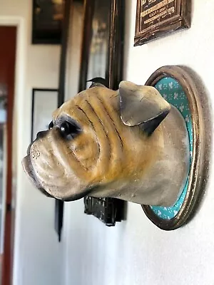 Paper Mache BULLDOG - Dog Head Wall Mount Vintage Framed • $33.37