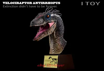 ITOY Male Feathered Velociraptor Dinosaur Head Bust Animal Model 12.6'' INSTOCK • $259.99