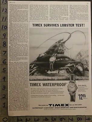 1956 Timex Wristwatch Clock Waterproof Lobster Test Marlin Waterbury Ad 29070 • $37.01