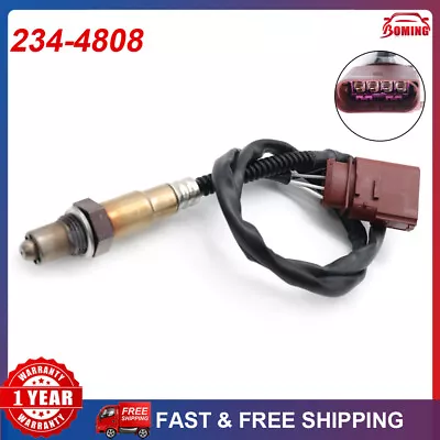 234-4808 For VW Beetle Jetta Golf Audi A8 06A906262BG Downstream Oxygen Sensor • $22.96