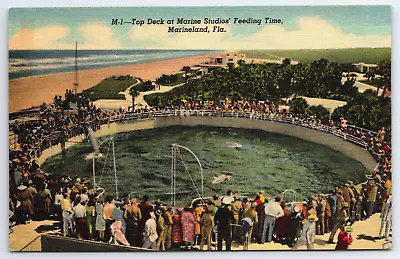 Vintage Postcard Florida FL Marineland Marine Studios Feeding Time -3154 • $1.09