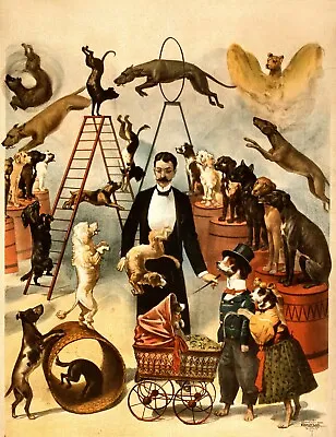 Trained Dog Act 1899  Circus  Poster Print  11 X 17  Giclee Print • $28.66