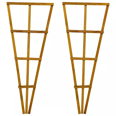 Woodside 1.2m Wooden Garden Fan Trellis Climbing Plant/Flower Support X 2 • £22.99