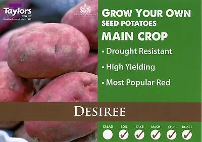 £4.50 • Buy Desiree Seed Potato - Main Crop - Available In Bags Of 5,10,15