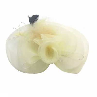 Women Hot Net Veil Flower Fascinator Feather Headdress Brooch Hair Clip Wedding • $16