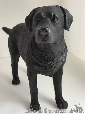 Black Labrador Ornament Quality Lifelike Figurine From Leonardo Range Gift Boxed • £13.90