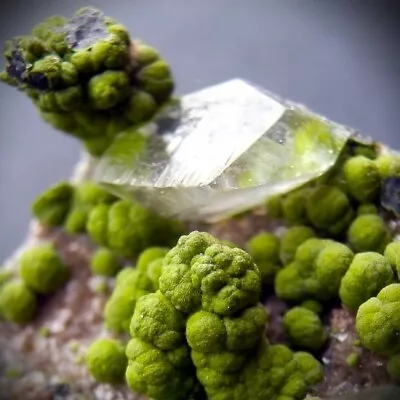 Brilliant! Mottramite With Calcite On Galena Rich Matrix-Tsumeb Mine • $56