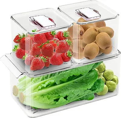 WAVELUX Produce Saver Containers For Refrigerator Food Fruit Vegetables Storage • $34.99