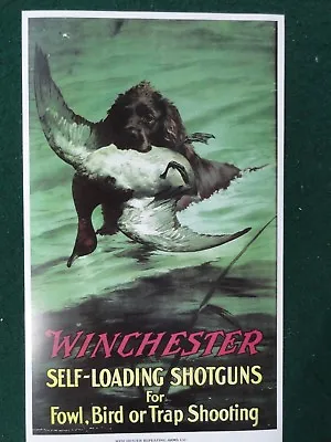 Winchester Firearms Advertising Poster Shotguns Duck Hunting   • $7.50
