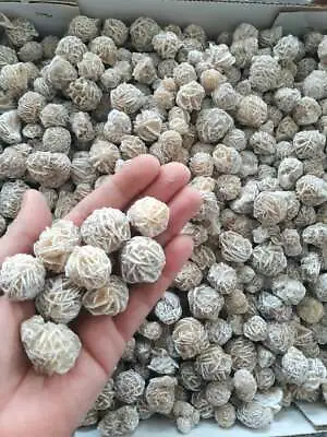 $12.98 • Buy 100g Natural Moroccan Desert Rose Stone Mineral Specimen Crystal Healing Bulk