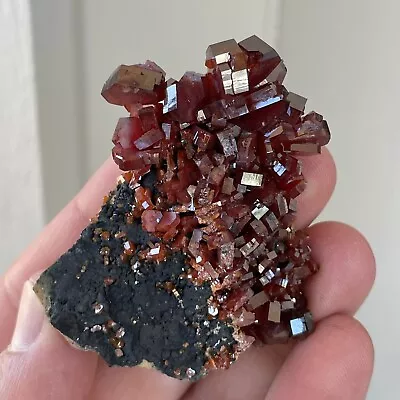 Rare 2.2” Red Gem Vanadinite W/ Goethite Crystal Cluster 45g - Morocco • $55